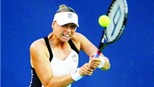 Ấn tượng Zvonareva, Stepanek